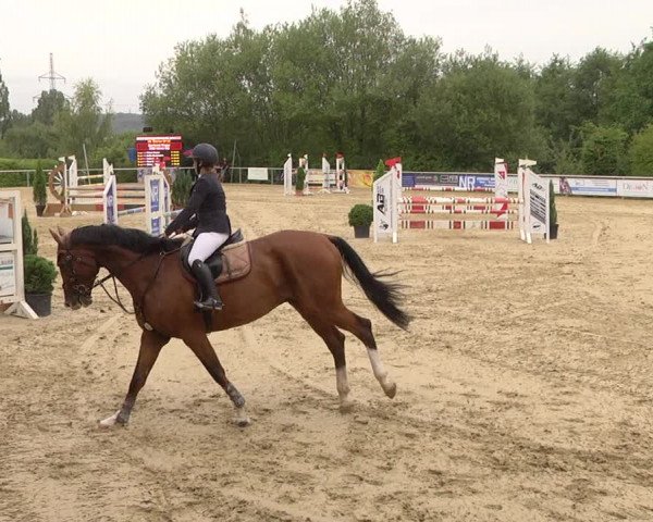 Reitturnier Püttlingen 2019