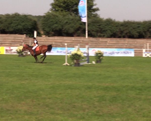 Reitturnier Baschütz bei Bautzen 2019