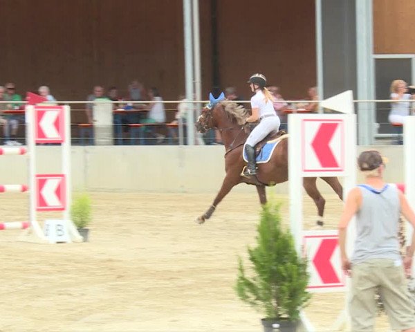 Reitturnier Schwyz 2019