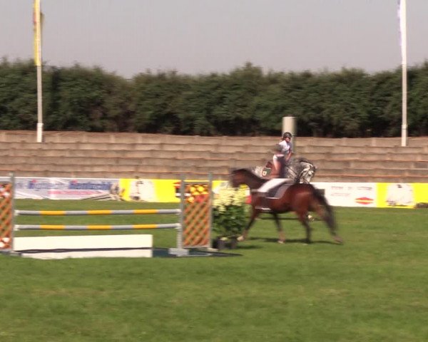 Reitturnier Baschütz bei Bautzen 2019