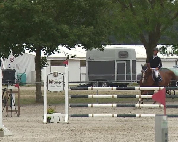 Reitturnier Rot am See- Musdorf 2019