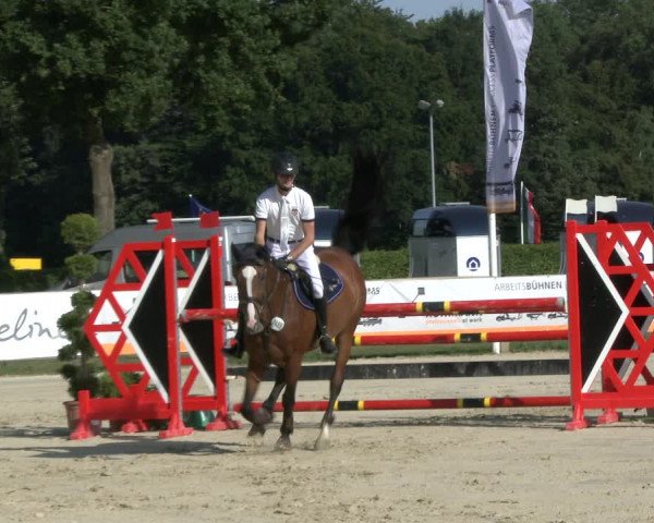 Reitturnier Münster-Handorf 2019