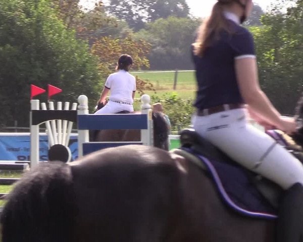 Reitturnier Felmerholz 2019