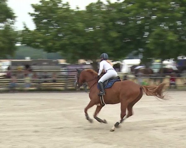 Reitturnier Rot am See- Musdorf 2019