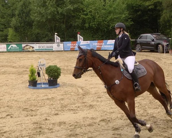 Reitturnier Püttlingen 2019
