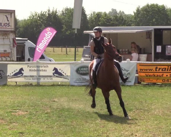 Reitturnier Felmerholz 2019