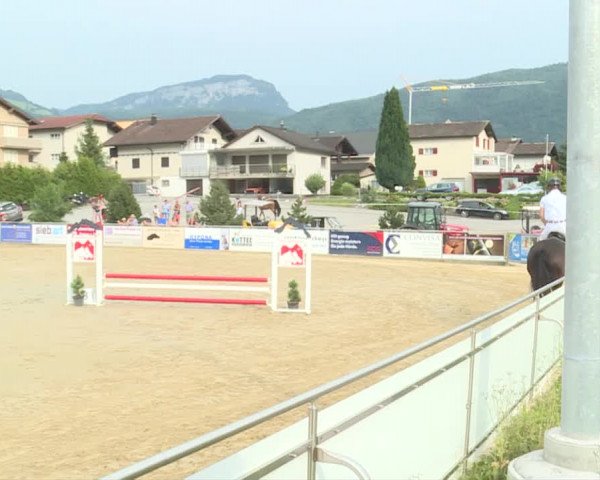 Reitturnier Schwyz 2019