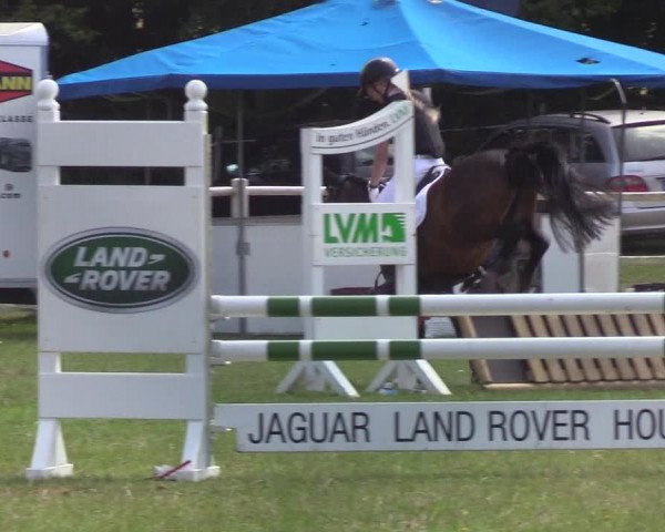 Reitturnier Felmerholz 2019