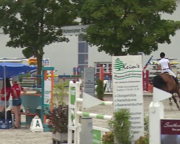 Reitturnier Rot am See- Musdorf 2019