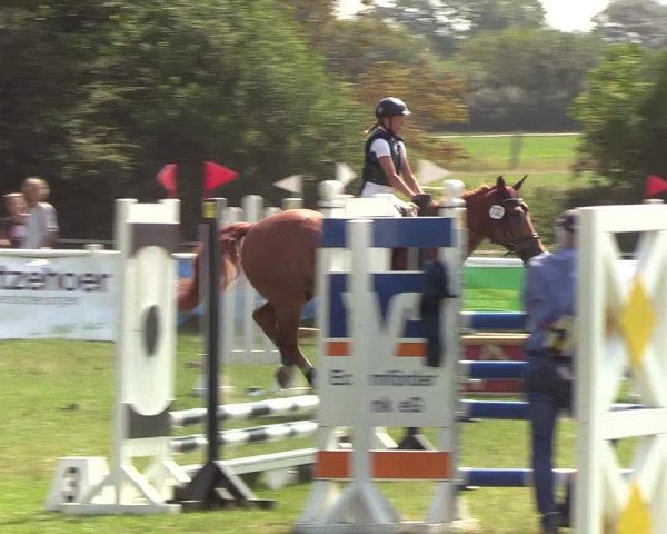 Reitturnier Felmerholz 2019