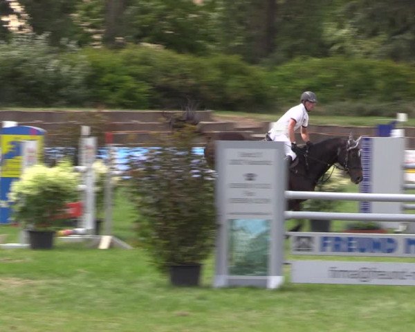 Reitturnier Baschütz bei Bautzen 2019