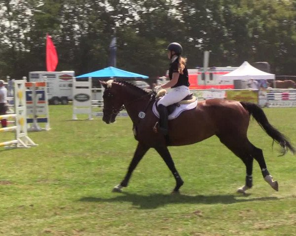 Reitturnier Felmerholz 2019