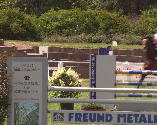 Reitturnier Baschütz bei Bautzen 2019