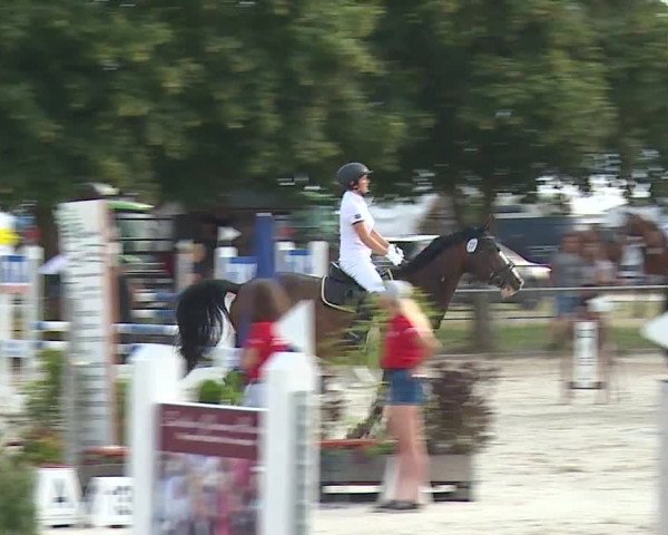 Reitturnier Rot am See- Musdorf 2019