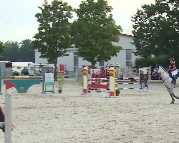 Reitturnier Rot am See- Musdorf 2019