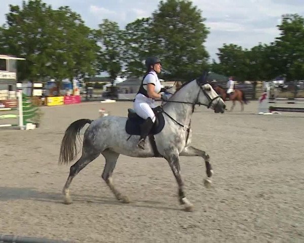 Reitturnier Rot am See- Musdorf 2019