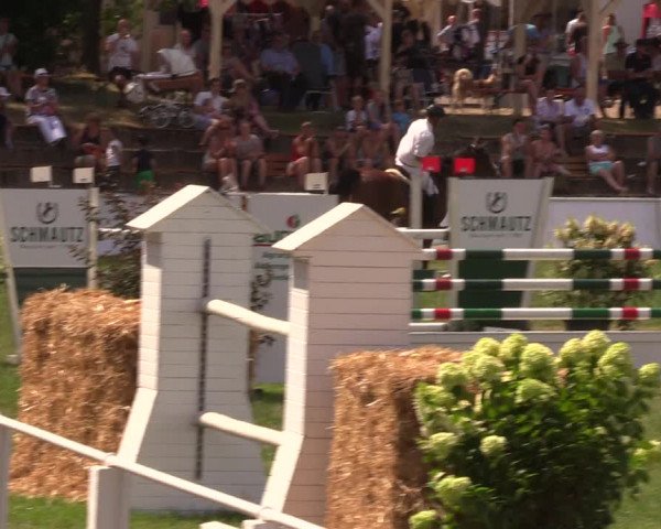 Reitturnier Baschütz bei Bautzen 2019