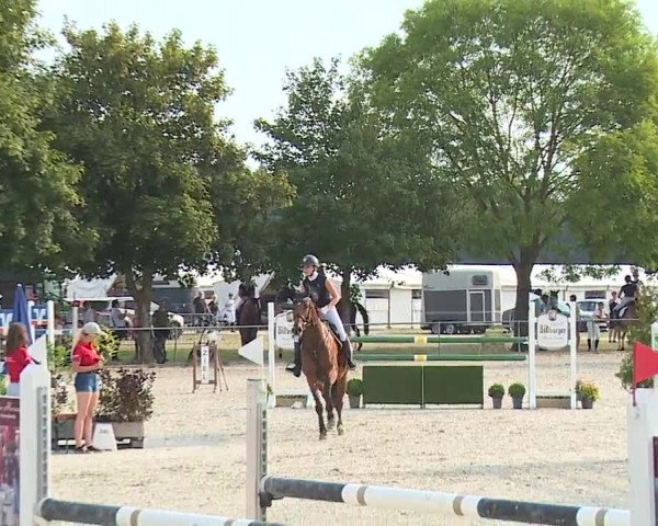 Reitturnier Rot am See- Musdorf 2019