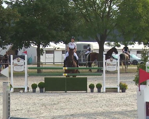 Reitturnier Rot am See- Musdorf 2019