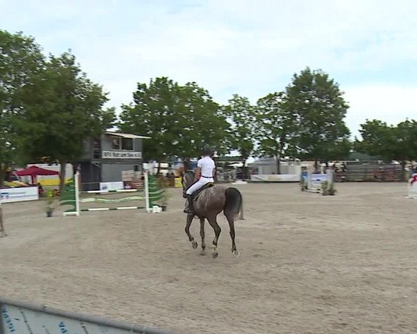 Reitturnier Rot am See- Musdorf 2019