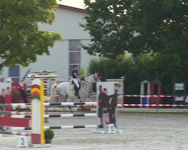 Reitturnier Rot am See- Musdorf 2019