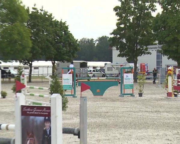 Reitturnier Rot am See- Musdorf 2019