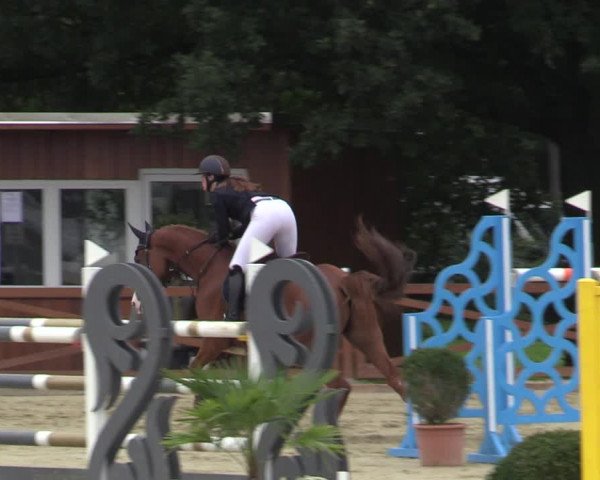 Equus Colonius - Reitanlage Brüse Köln 2021