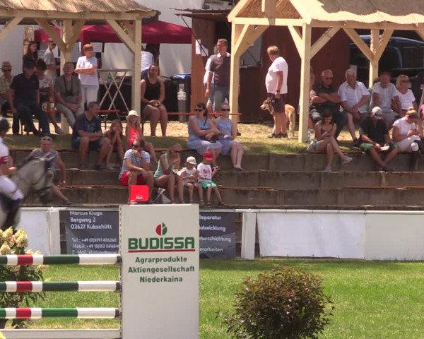 Reitturnier Baschütz bei Bautzen 2019