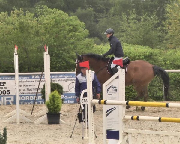 Reitturnier Püttlingen 2019