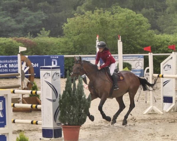 Reitturnier Püttlingen 2019