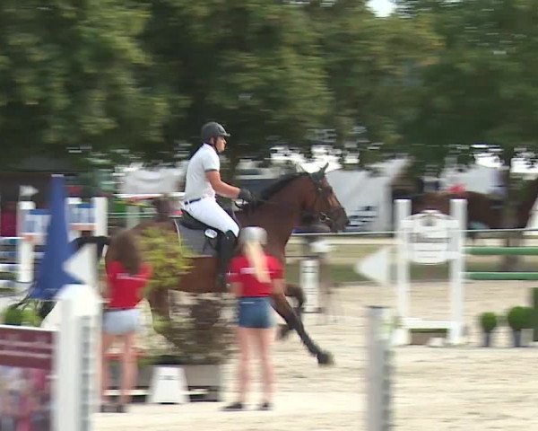 Reitturnier Rot am See- Musdorf 2019