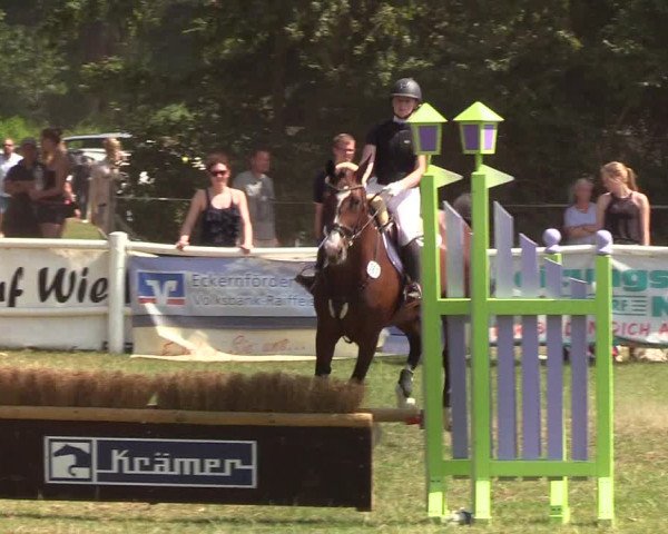 Reitturnier Felmerholz 2019