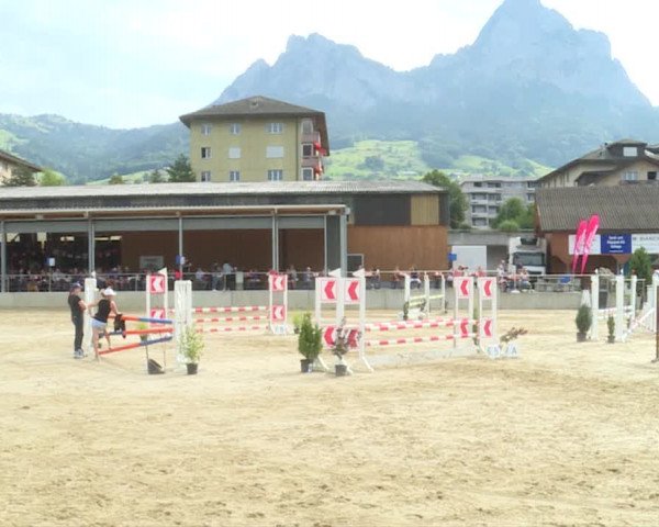 Reitturnier Schwyz 2019