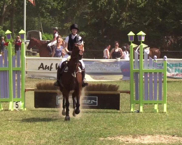 Reitturnier Felmerholz 2019