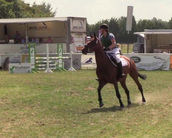 Reitturnier Felmerholz 2019