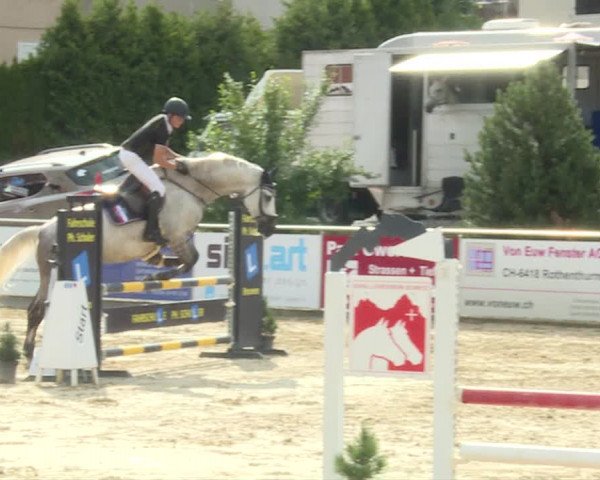 Reitturnier Schwyz 2019