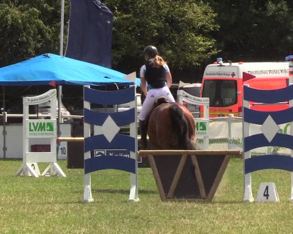 Reitturnier Felmerholz 2019