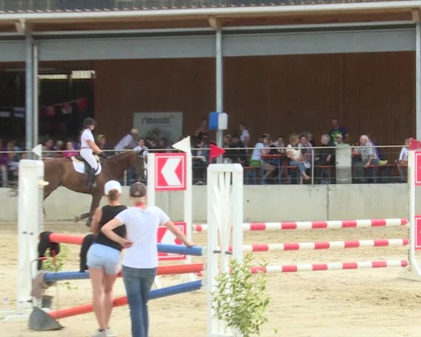 Reitturnier Schwyz 2019
