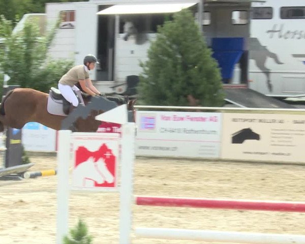 Reitturnier Schwyz 2019