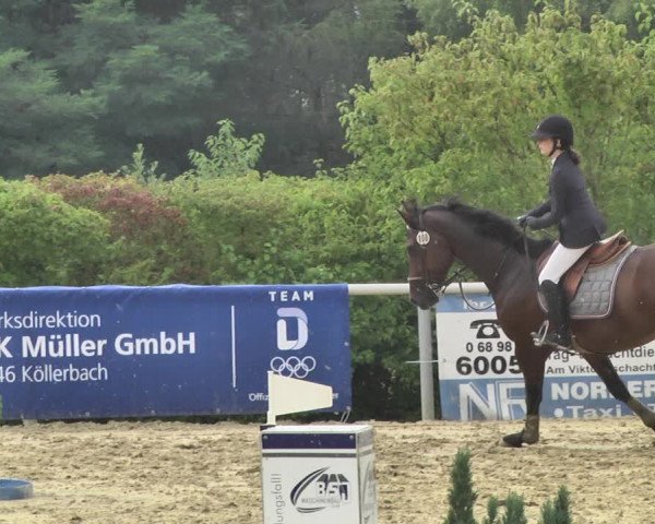 Reitturnier Püttlingen 2019