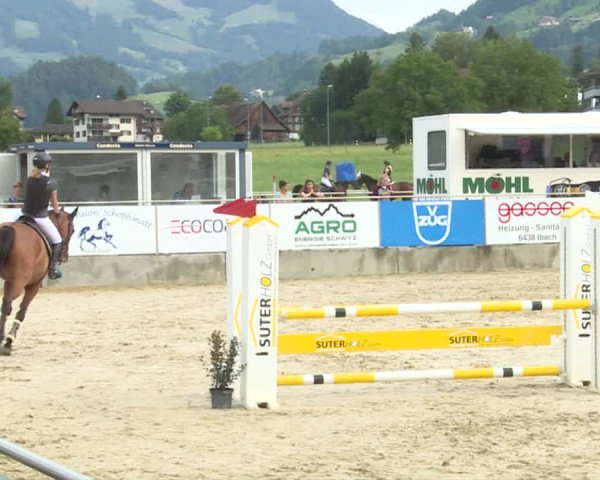Reitturnier Schwyz 2019