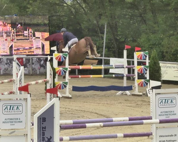 Reitturnier Püttlingen 2019