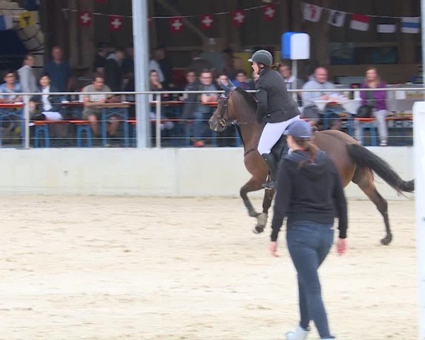 Reitturnier Schwyz 2019