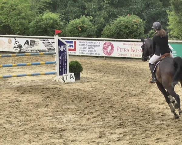 Reitturnier Püttlingen 2019