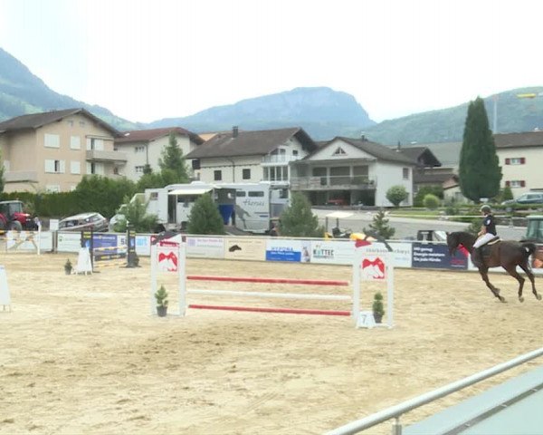 Reitturnier Schwyz 2019