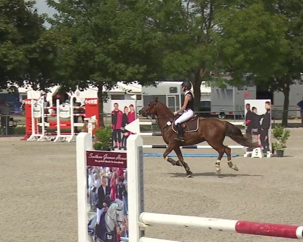 Reitturnier Rot am See- Musdorf 2019
