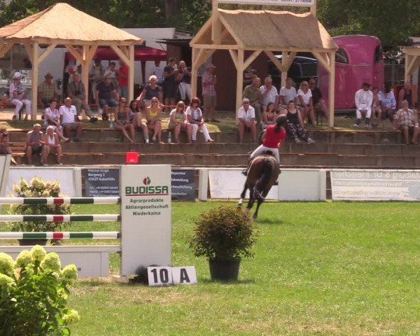 Reitturnier Baschütz bei Bautzen 2019