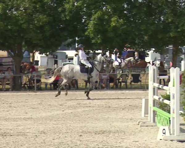 Reitturnier Rot am See- Musdorf 2019
