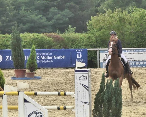 Reitturnier Püttlingen 2019