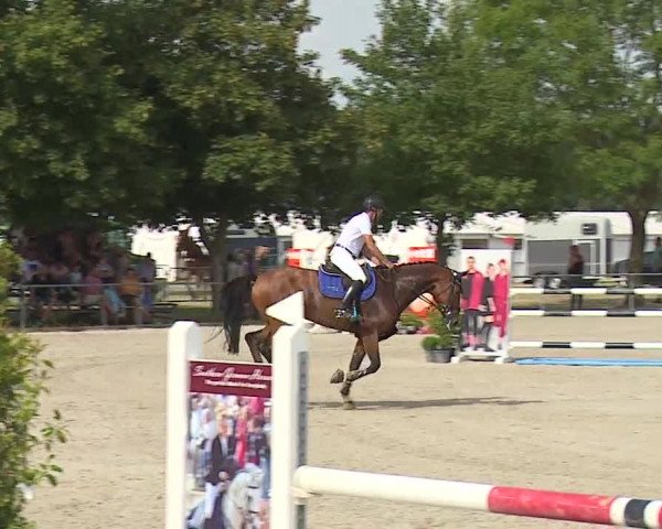 Reitturnier Rot am See- Musdorf 2019
